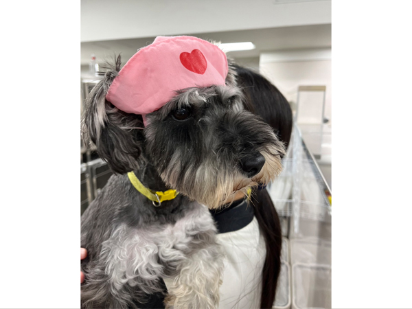 生徒が撮影したモデル犬☆